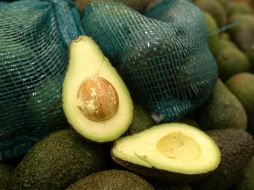 El kilogramo de aguacate llega hasta 40 pesos en Guadalajara. EL INFORMADOR / ARCHIVO