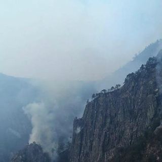 Casi controlado, incendio en área protegida de Sierra de Manantlán