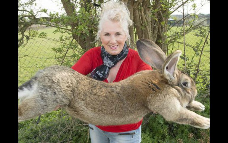 La criadora precisó que ya había enviado conejos a todas partes del mundo y que nada así había ocurrido nunca. ESPECIAL /