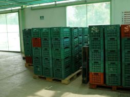 En marzo crecieron las exportaciones manufactureras en 13.9% y las agropecuarias y pesqueras en 4.2 por ciento. EL INFORMADOR / ARCHIVO