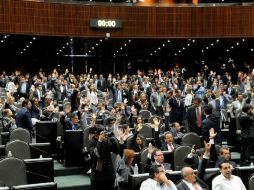 Los legisladores podrían añadir un párrafo en el que la siembra, cultivo y cosecha de plantas de mariguana no será punible. TWITTER / @Mx_Diputados