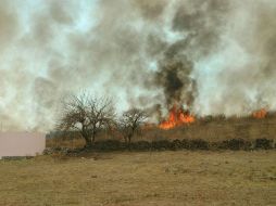 Elementos de diferentes corporaciones combaten el incendio. ESPECIAL / Protección Civil Tlajomulco