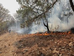 El último corte de hectáreas incendiadas llegó a 816, la mayoría de arbustos y hojarasca. EL INFORMADOR / G. Gallo