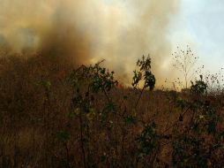 La Semadet insta a que en caso de detectar un incendio forestal, no se intente combatirlo, lo mejor es reportarlo. ESPECIAL / UEPCBJ