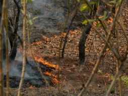 En los últimos días varios incendios han afectado al Estado. EL INFORMADOR / ARCHIVO