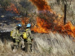 El más reciente incendio en La Primavera consumió 800 hectáreas. SUN / ARCHIVO