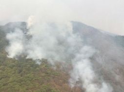 La Emergencia se activó debido a incendios forestales registrados en las zonas. TWITTER / @ReporteForestal