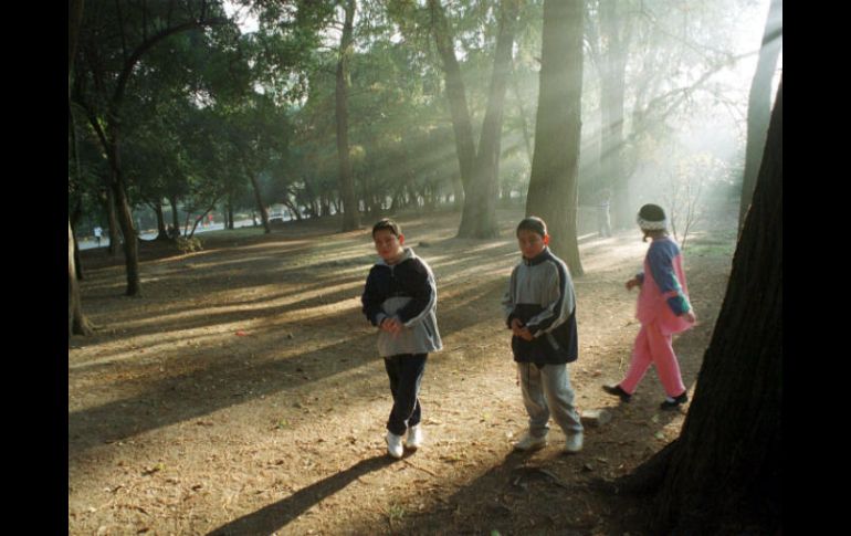 Difiere de otras vitaminas ya que se sintetiza en la piel por la acción de los rayos ultravioleta del sol. EL INFORMADOR / ARCHIVO