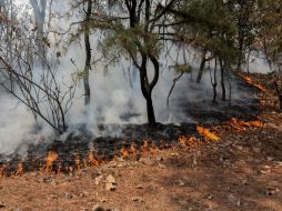 Debido a los incendios registrados los últimos días, autoridades piden evitar realizar actividades al aire libre. EL INFORMADOR / ARCHIVO