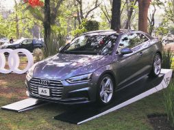 El manejo ha sido una delicia en este auto, el cual tiene una respuesta en aceleración prácticamente inmediata. EL INFORMADOR / C. Cerda