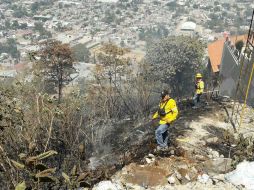 Para controlar el siniestro participaron cerca de 45 combatientes de distintas corporaciones del municipio y estatales. ESPECIAL / Zapopan