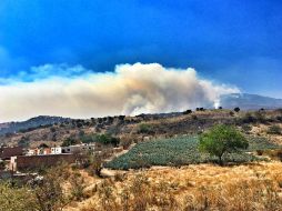 Talpa, Mezquitic, Cuautitlán, Tequila, Totatiche, Tolimán, Mascota y San Martín de Bolaños reportan incendios. TWITTER / @lirubis