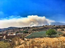 Así se apreciaba uno de los siniestros ayer, también en Amatitán. TWITTER / @lirubis