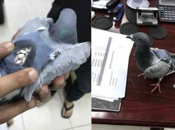 Las píldoras se encontraban dentro de un bolso camuflado a su espalda. ESPECIAL / alarabiya.com