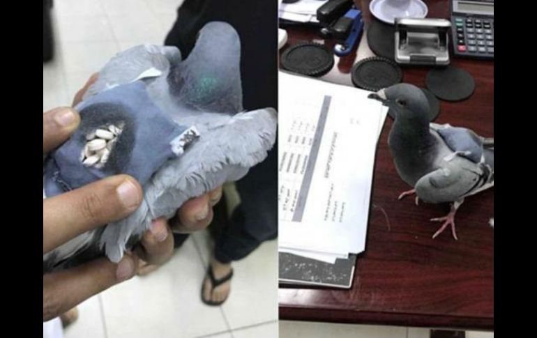 Las píldoras se encontraban dentro de un bolso camuflado a su espalda. ESPECIAL / alarabiya.com