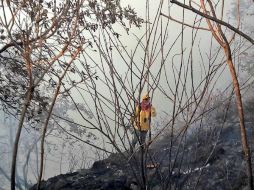 Bomberos de Zapopan, durante la etapa de control y enfriamiento en la zona del fuego. ESPECIAL /