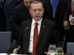 Los Erdogan serían propietarios del barco de un contrato de arrendamiento financiero secreto. AFP / M. Dunham