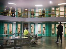 La mujer pasó bajo custodia de ICE, a pesar de haberse convertido en ciudadana estadounidense desde hace unos 20 años. AFP / ARCHIVO