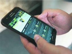 Los jugadores pueden ver los próximos partidos y confirmar su asistencia a través de la aplicación. EL INFORMADOR / F. Atilano