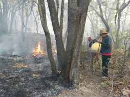 Las labores de control del fuego en el lugar. ESPECIAL / Protección Civil de Tlajomulco