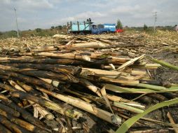 La zafra azucarera inició en Jalisco en noviembre y terminó el pasado 5 de mayo. EL INFORMADOR / ARCHIVO