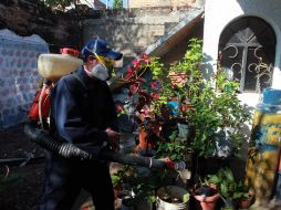 Autoridades piden a la población no bajar la guardia y continuar con las medidas preventivas para evitar la reducción del mosco. EL INFORMADOR / ARCHIVO