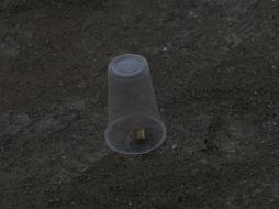 Policías investigadores y peritos forenses aseguraron en el lugar varios casquillos calibre .223. EL INFORMADOR / ARCHIVO