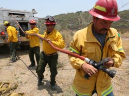 Los brigadistas deben extender las líneas de agua hasta un kilómetro para llegar al fuego. EL INFORMADOR / G. Gallo