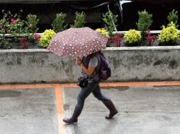 Los desprendimientos nubosos del fenómeno favorecen potencial de tormentas en Oaxaca, Chiapas, Veracruz y Tabasco. NTX / ARCHIVO
