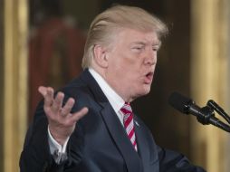 Trump aprovechó la conmoción por los ataques para defender su cuestionado decreto al cierre de puertas del país a inmigrantes. EFE / M. Reynolds