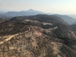 Cerca de mil 850 hectáreas con hojarasca y pastizal fueron afectadas. ESPECIAL /