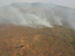 El fuego comenzó el domingo 4 de junio en el paraje Mesa de la Gringa, en terreno del área protegida de Cerro Viejo. ESPECIAL /
