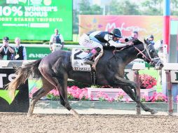 Con una diferencia de casi dos cuerpos, 'Tapwrit' pudo superar hacia el final de la carrera a 'Irish War Cry', uno de los favoritos. AFP / N. Bello