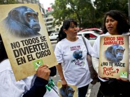 En 2014 el PVEM promovió una ley que prohíbe el uso de animales en circos. SUN / ARCHIVO