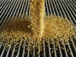 Sólo en 2016, nuestro país importó más de dos mil 113 MDD de pollo y maíz estadounidenses. AP / ARCHIVO