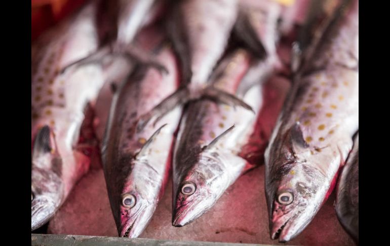 México se ubica en el lugar 12 en producción mundial de alimentos; es 13 en producción de cultivos agrícolas y 11 en ganadería. EL INFORMADOR / ARCHIVO