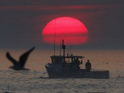Aseguran que los guardacostas abrieron fuego sin cerciorarse de si los barcos habían cruzado a aguas saudíes. AP / ARCHIVO