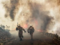 El incendio de enormes proporciones en el centro de Portugal ha dejado un saldo de 61 muertos y 62 heridos. EFE / P. Cunha