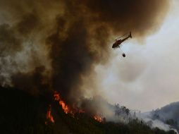 Más de mil bomberos trabajan para apagar el incnedio que comenzó el 17 de junio. AFP / M. Riopa