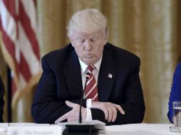 Trump indicó ayer miércoles que la idea de construir un muro con estas características, sería una ‘hermosa’ obra. EFE / O. Doulery