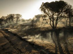 Paraje de Cuesta Maneli tras el incendio declarado el pasado sábado en el paraje 'La Peñuela' de Moguer. EFE / J. Pérez