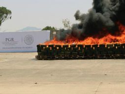 Se destruyen por medio de incineración un total de cuatro mil 200 plantas del estupefaciente. TWITTER / @PGR_Jal