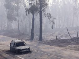 El posible papel del actual primer ministro, Antonio Costa, en la catástrofe está también bajo escrutinio. EFE / ARCHIVO