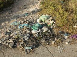 Los RSU contaminan los afluentes, suelos de la región, afectando las actividades pesqueras, domésticas y agrícolas. EL INFORMADOR / ARCHIVO