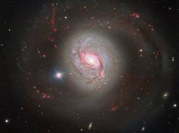 La galaxia está situada a 47 millones de años luz de la Tierra, en la constelación de Cetus. TWITTER / @ESO