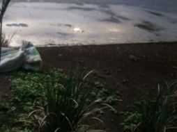 El levantamiento del cuerpo concluyó cerca de las 8:30 horas. ESPECIAL /