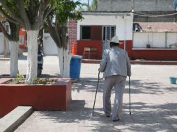 La población de 15 a 64 años representa 65.5% y los mayores de 65 años, 7.2 por ciento. EL INFORMADOR / ARCHIVO