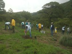 Se contará con la participación de nueve mil voluntarios para llevar a cabo los trabajos de plantación y restauración. ESPECIAL / Semadet
