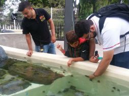 Además, adelantan que el Acuario tendrá cursos de verano para niños de cinco a 15 años. EL INFORMADOR / R. Bobadilla