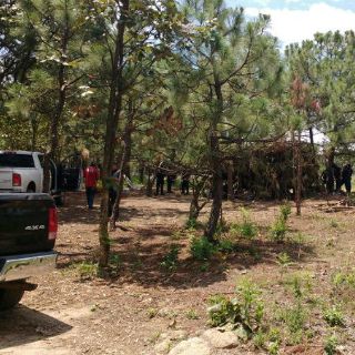 Indagan campamento de la delincuencia organizada en Tala